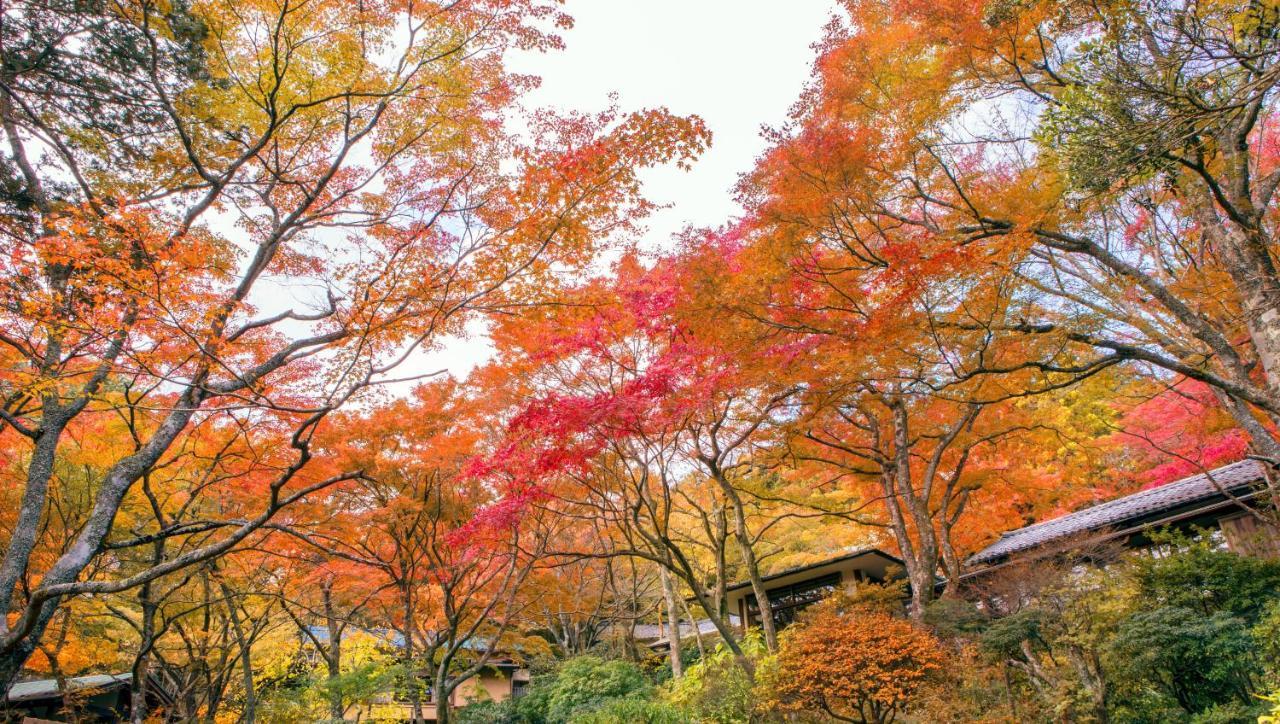 Gora Kansuiro Hakone Dış mekan fotoğraf